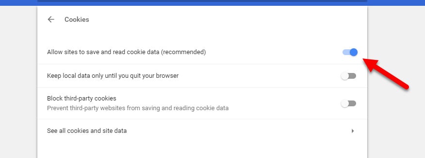 Chrome Cookie Daten speichern