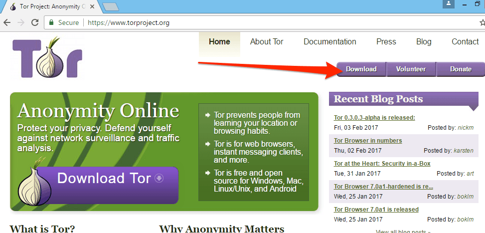 botón de descarga del sitio web tor