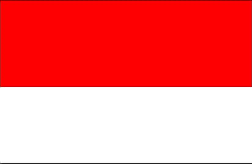 Bandera de indonesia