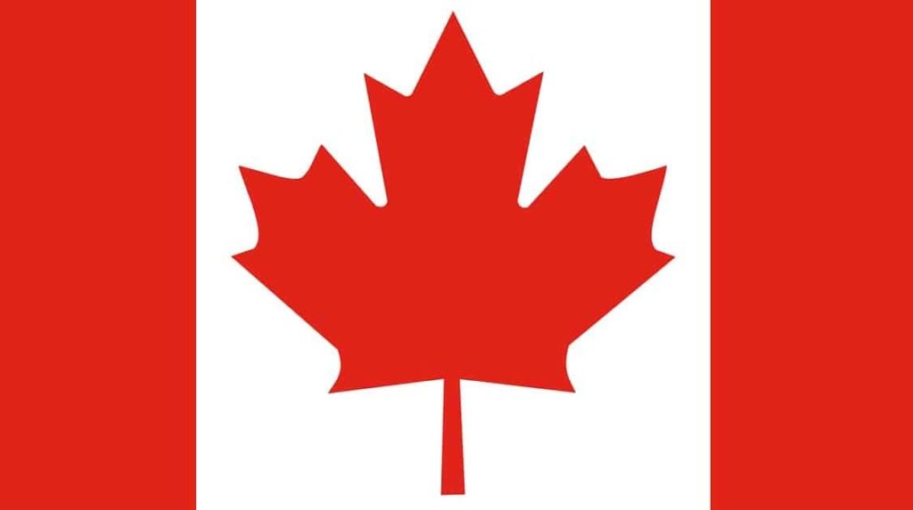 Bandeira canadense para o ufc 246 McGregor vs Cowboy